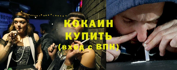 гашик Осинники