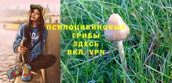 прущая мука Няндома